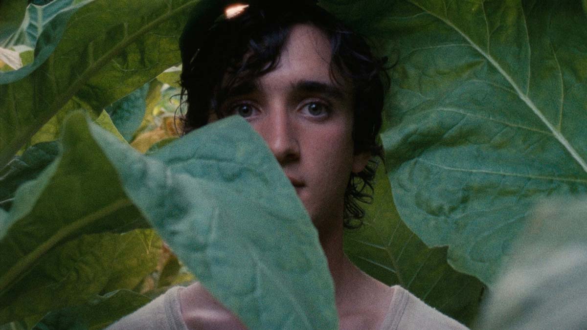 دانلود فیلم Happy as Lazzaro 2018 ( لازاروی خوشحال ۲۰۱۸ ) با زیرنویس فارسی چسبیده