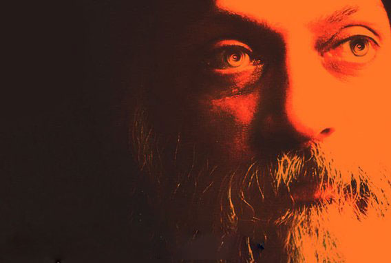 Wild Wild Country