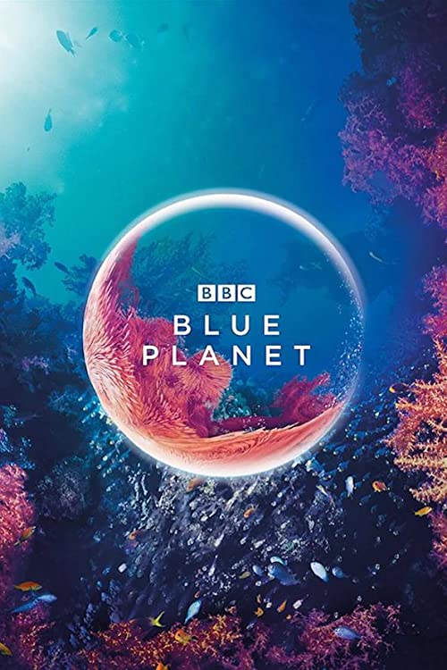 دانلود سریال The Blue Planet ( سیاره آبی ) با زیرنویس فارسی چسبیده