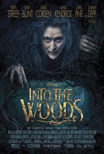 دانلود فیلم Into the Woods 2014 ( به‌سوی جنگل ۲۰۱۴ ) با زیرنویس فارسی چسبیده