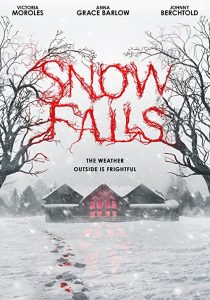 Snow Falls 2023