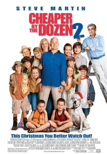 دانلود فیلم Cheaper by the Dozen 2 2005 ( دوجینش ارزان‌تر است ۲ ۲۰۰۵ ) با زیرنویس فارسی چسبیده