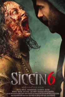 Siccin 6 2019