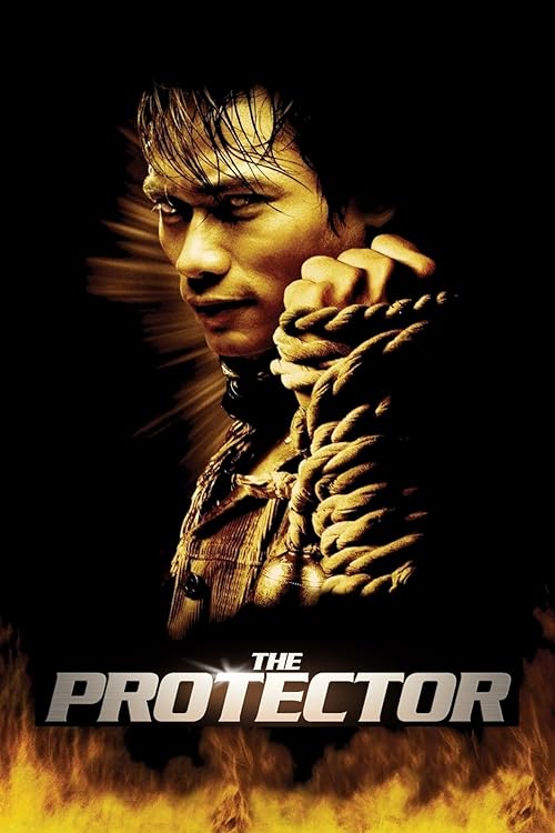 دانلود فیلم The Protector 2005 ( نگهبان ۲۰۰۵ ) با زیرنویس فارسی چسبیده