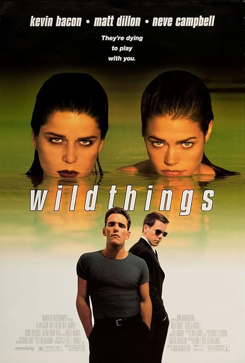 دانلود فیلم Wild Things 1998 ( جنایات جنسی ۱۹۹۸ ) با زیرنویس فارسی چسبیده