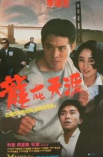 Dragon Fight 1989