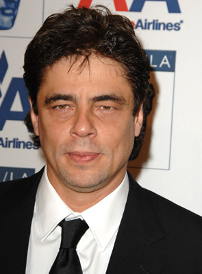 Benicio Del Toro