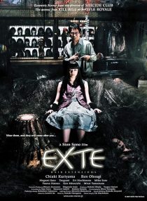 Exte: Hair Extensions 2007