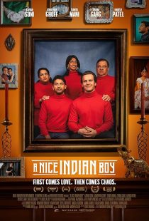 A Nice Indian Boy 2024
