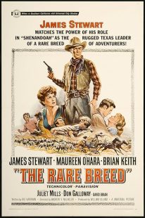 The Rare Breed 1966