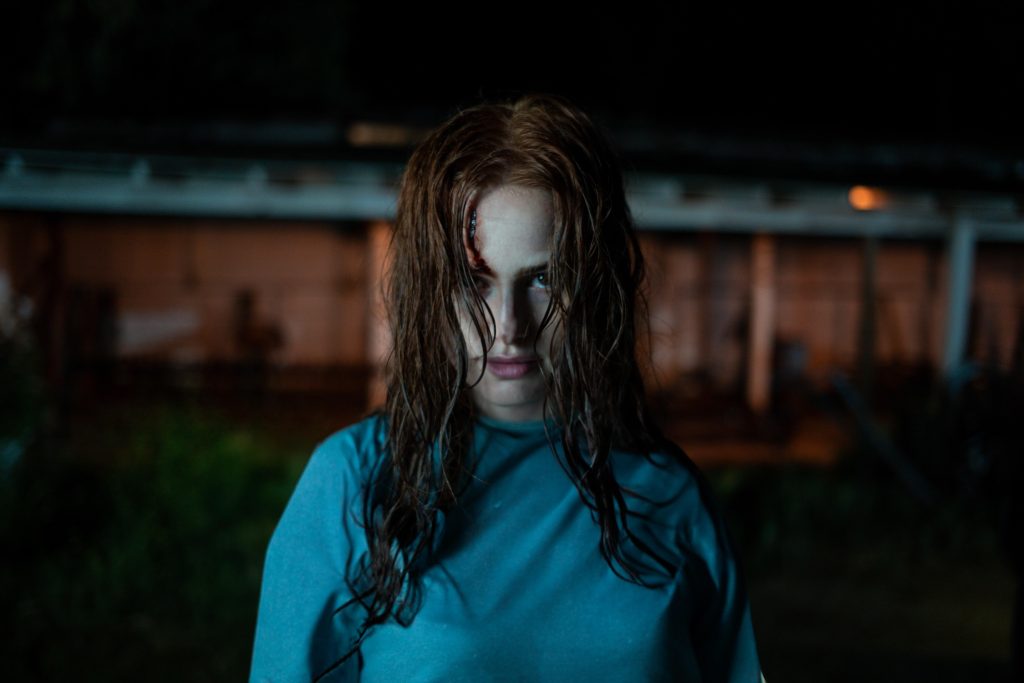 دانلود فیلم The Strangers: Chapter 2 2025 ( غریبه‌ها: قسمت ۲ ۲۰۲۵ ) با زیرنویس فارسی چسبیده