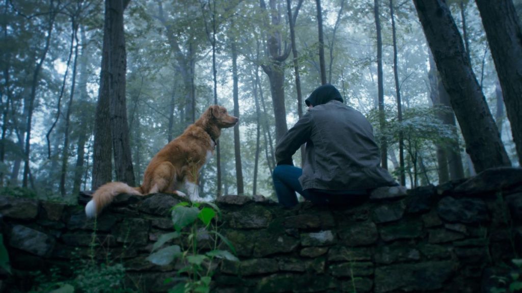 دانلود فیلم Good Boy 2025 ( پسرخوب ۲۰۲۵ ) با زیرنویس فارسی چسبیده