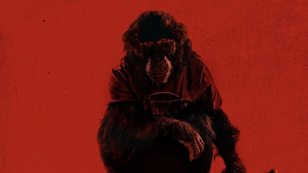 دانلود فیلم Primate 2025 ( نخستی ۲۰۲۵ ) با زیرنویس فارسی چسبیده