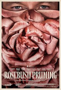 Rosebush Pruning 2026