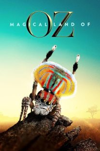 Magical Land of Oz 2019