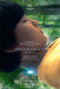 Sheep in the Box 2026